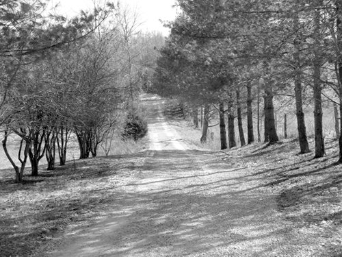 Property photo 34 - 97.5 Acres - Executive Home and Secluded Retreat
